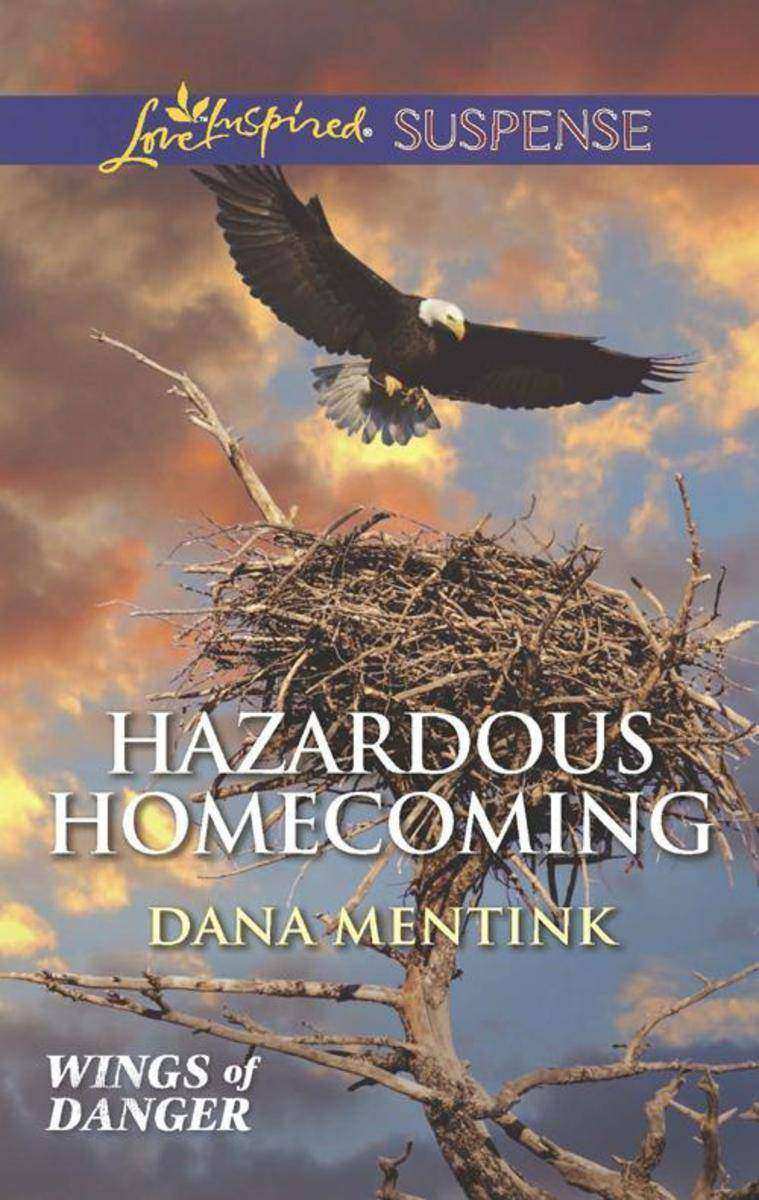 Hazardous Homecoming (Mills & Boon Love Inspired Suspense) (Wings of Danger, Boo