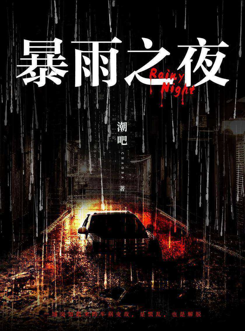 暴雨之夜