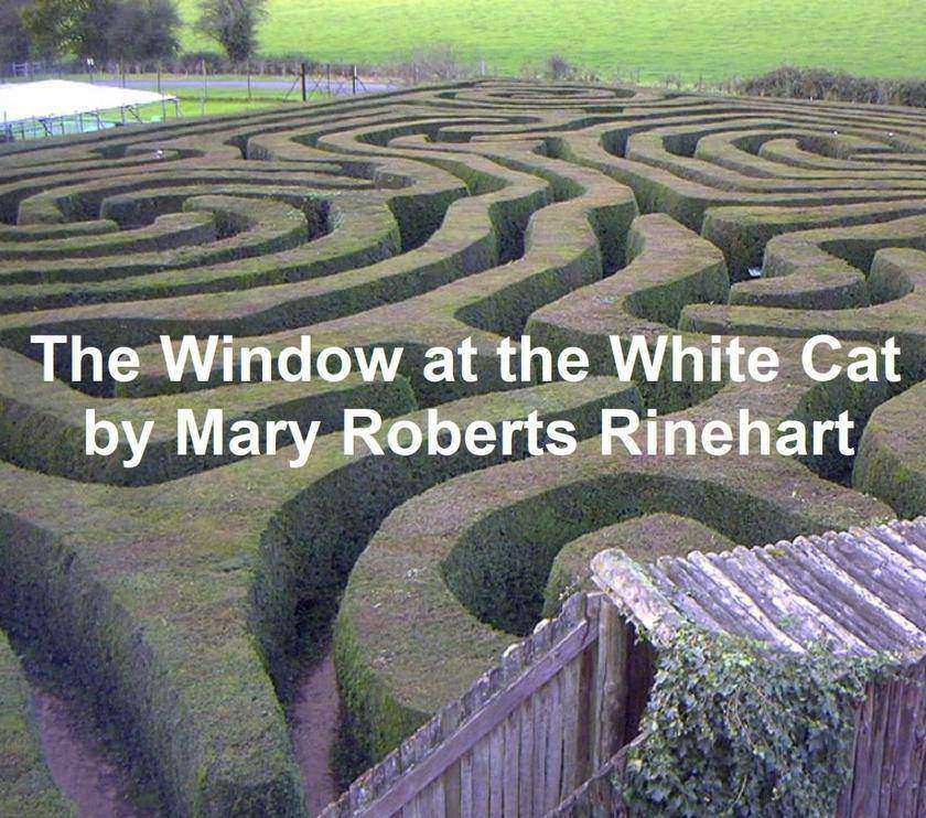 The Window at the White Cat