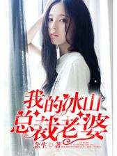 我的冰山总裁老婆