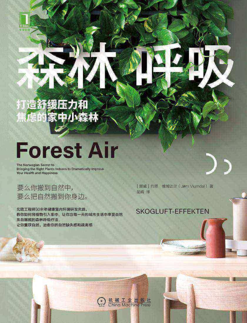 森林呼吸:打造舒缓压力和焦虑的家中小森林
