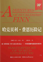 哈克贝利·费恩历险记