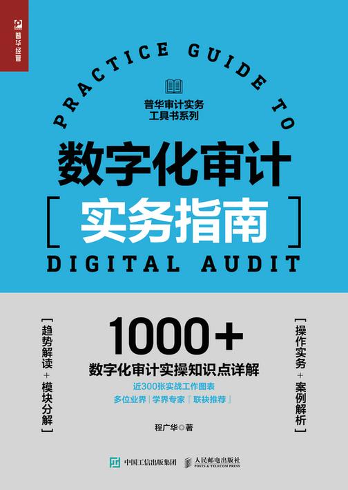 数字化审计实务指南