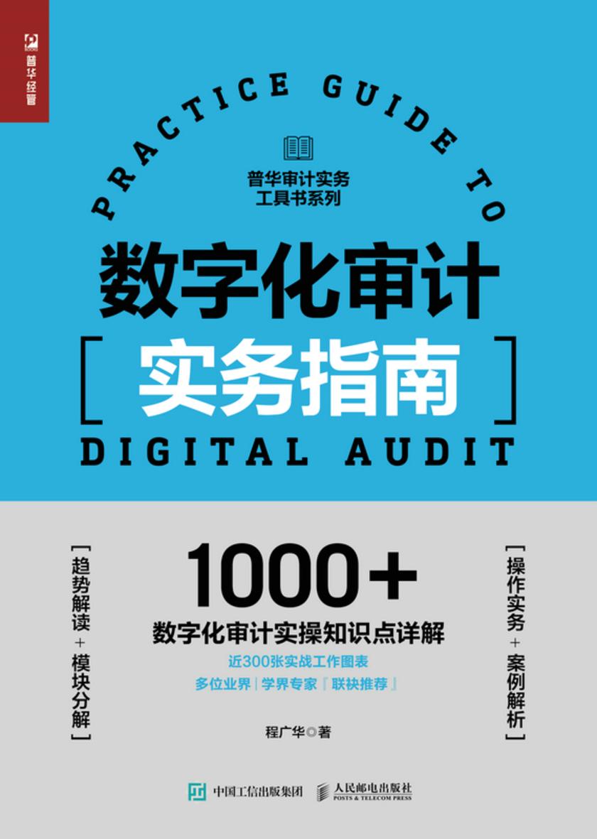 数字化审计实务指南