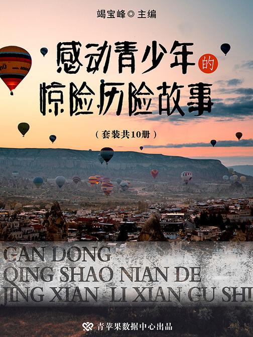 感动青少年的惊险历险故事(套装共10册)
