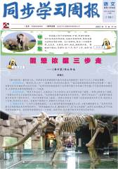 《同步学习周报》 语文 六年级（合订本） 2014016期(电子杂志)(仅适用PC阅读)