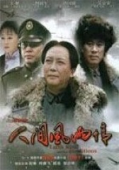人间风雨情(影视)