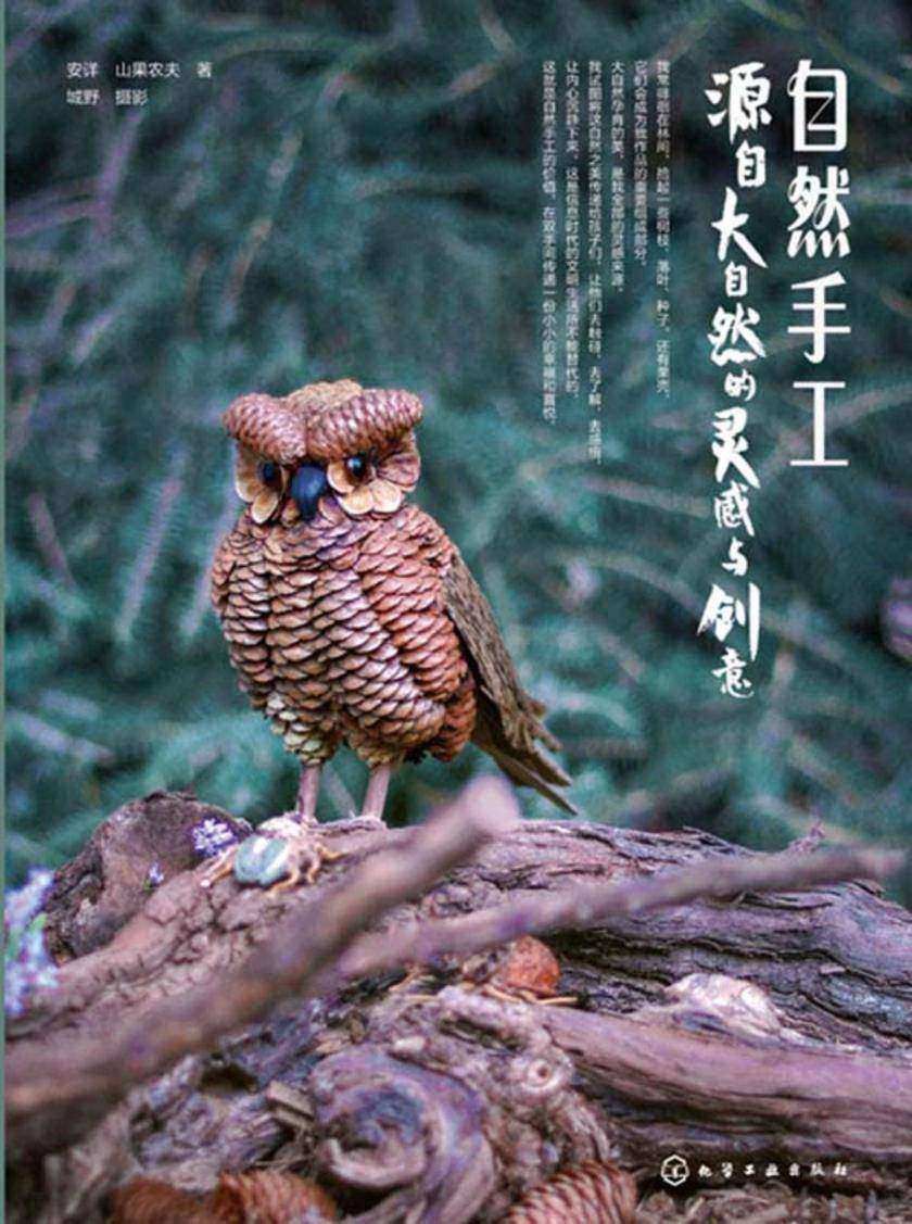 自然手工:源自大自然的灵感与创意