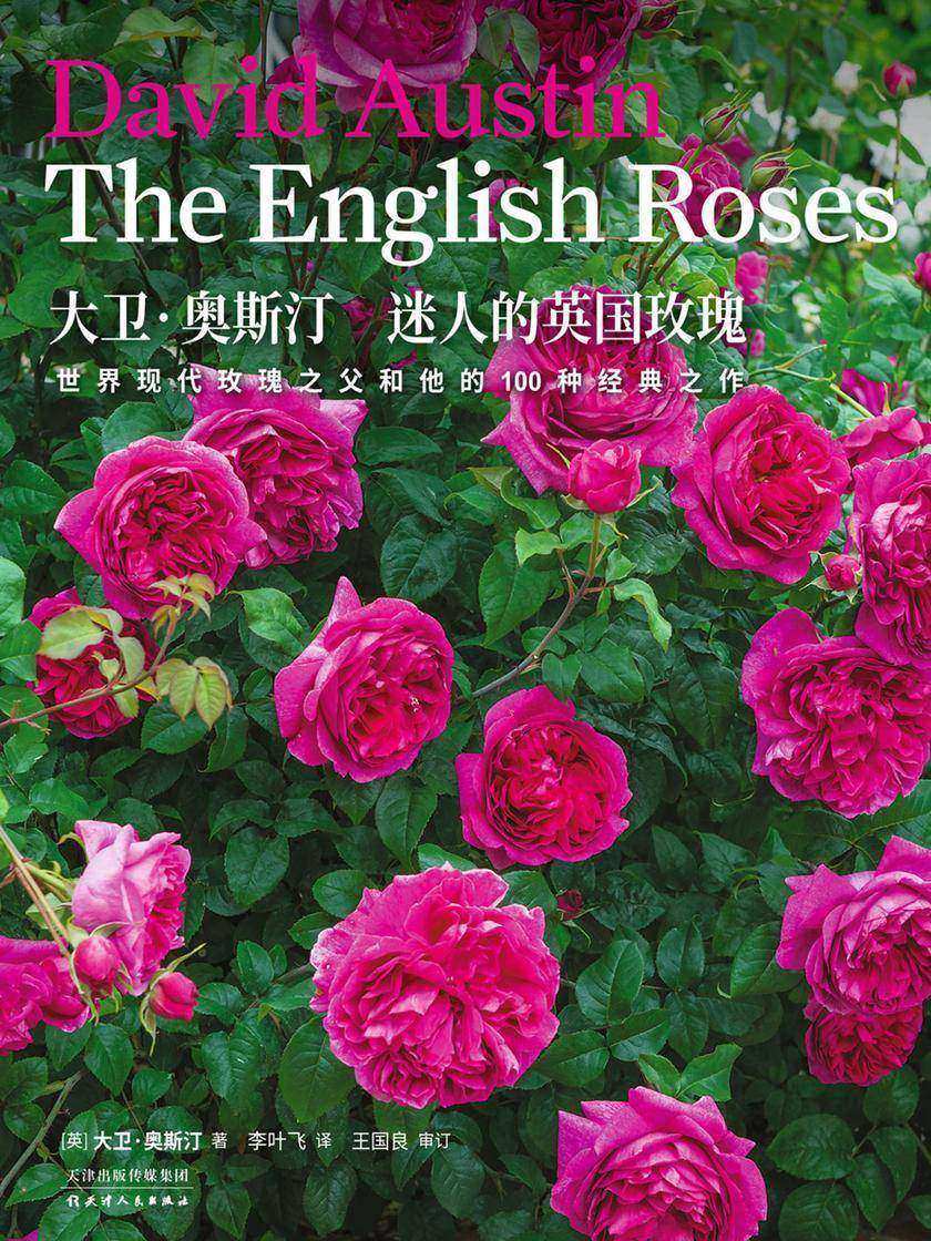 生活美学:大卫·奥斯汀迷人的英国玫瑰(享誉全球的“英国玫瑰圣经”、国内一本现代玫瑰之父 大卫·奥斯汀著作)