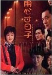 用心过日子(影视)