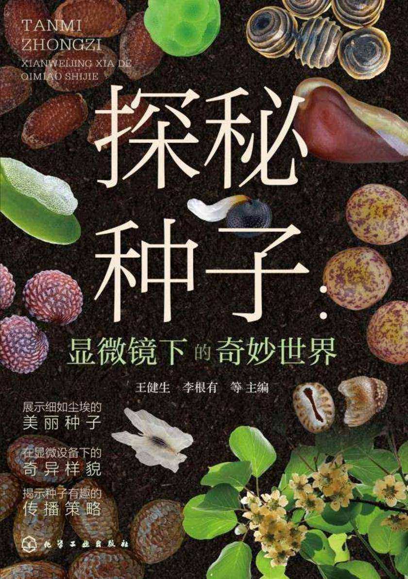 探秘种子:显微镜下的奇妙世界