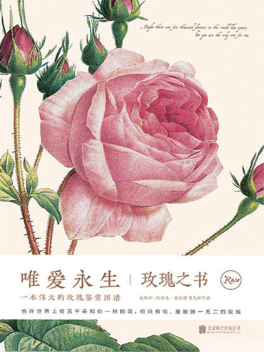 唯爱永生