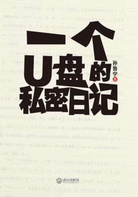 一个U盘的私密日记