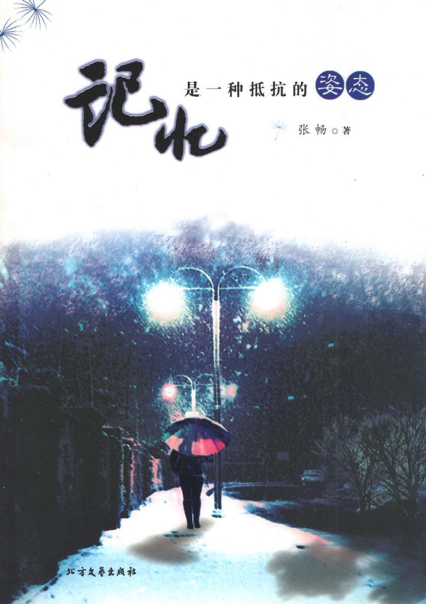 记忆是一种抵抗的姿态