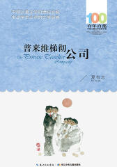 普来维梯彻公司