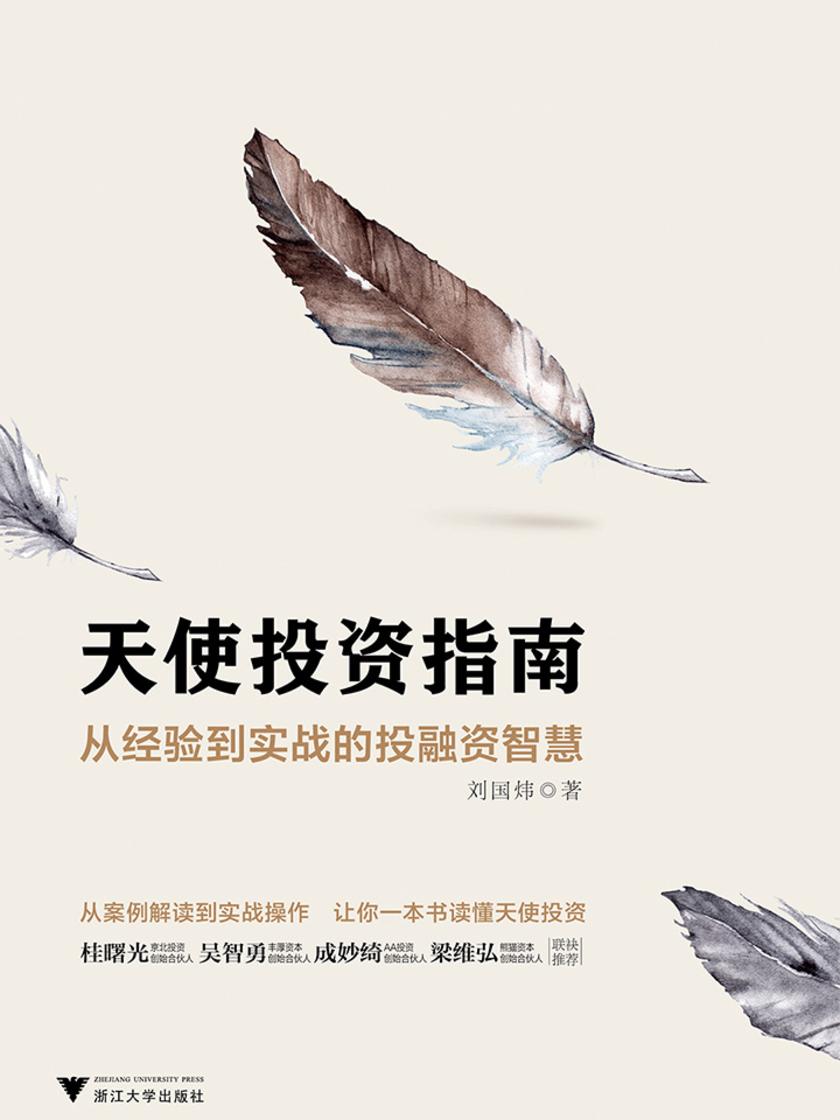 天使投资指南：从经验到实战的投融资智慧