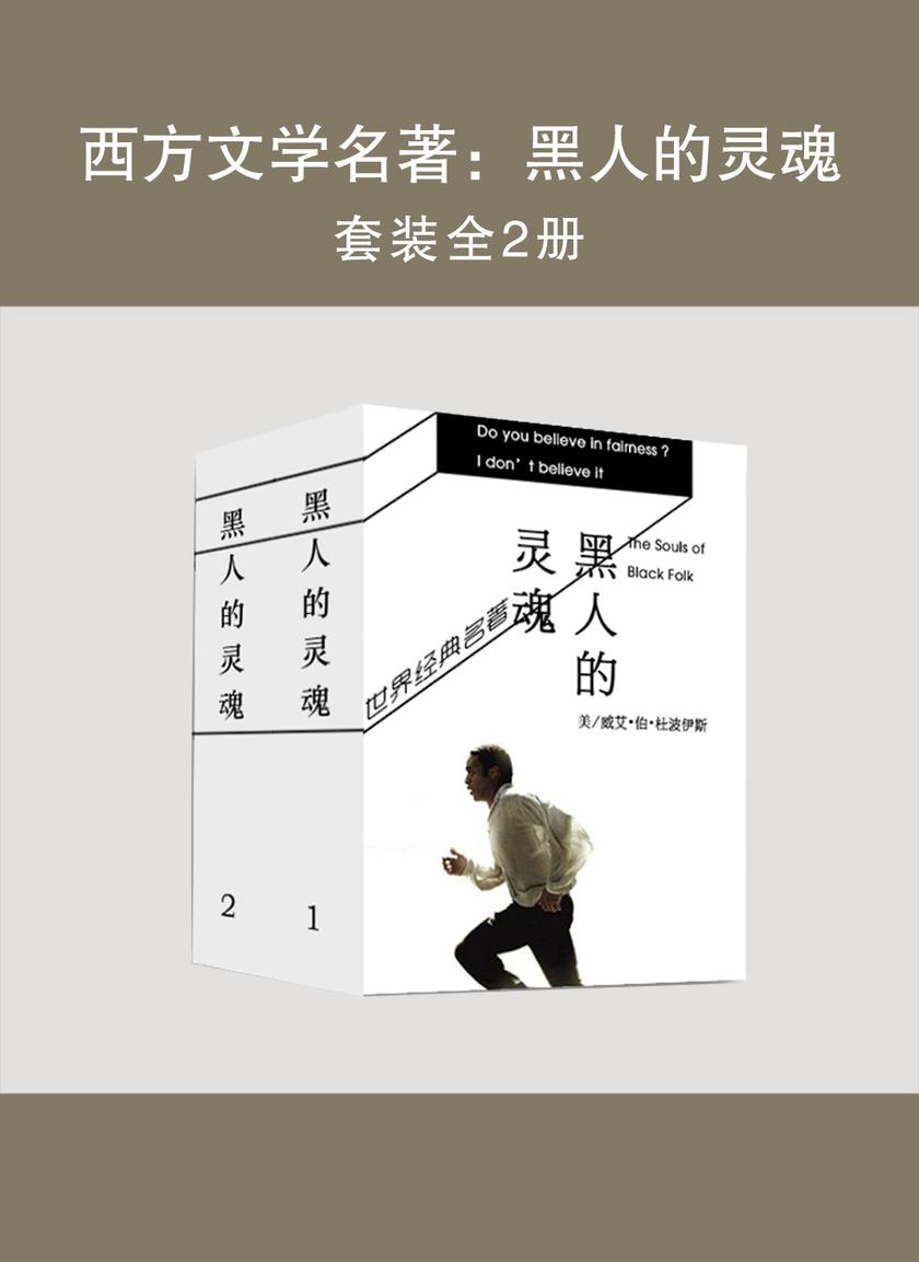 西方文学名著：黑人的灵魂(上下册)