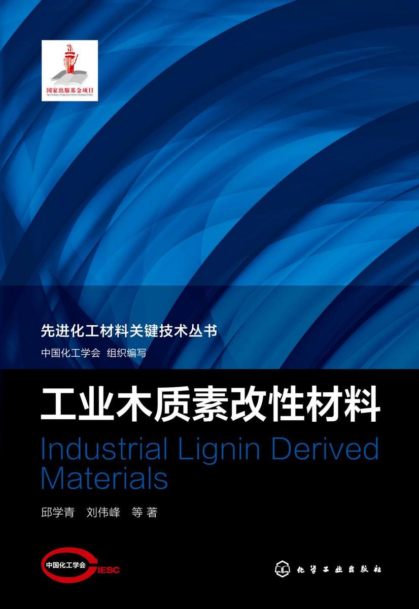 先进化工材料关键技术丛书--工业木质素改性材料