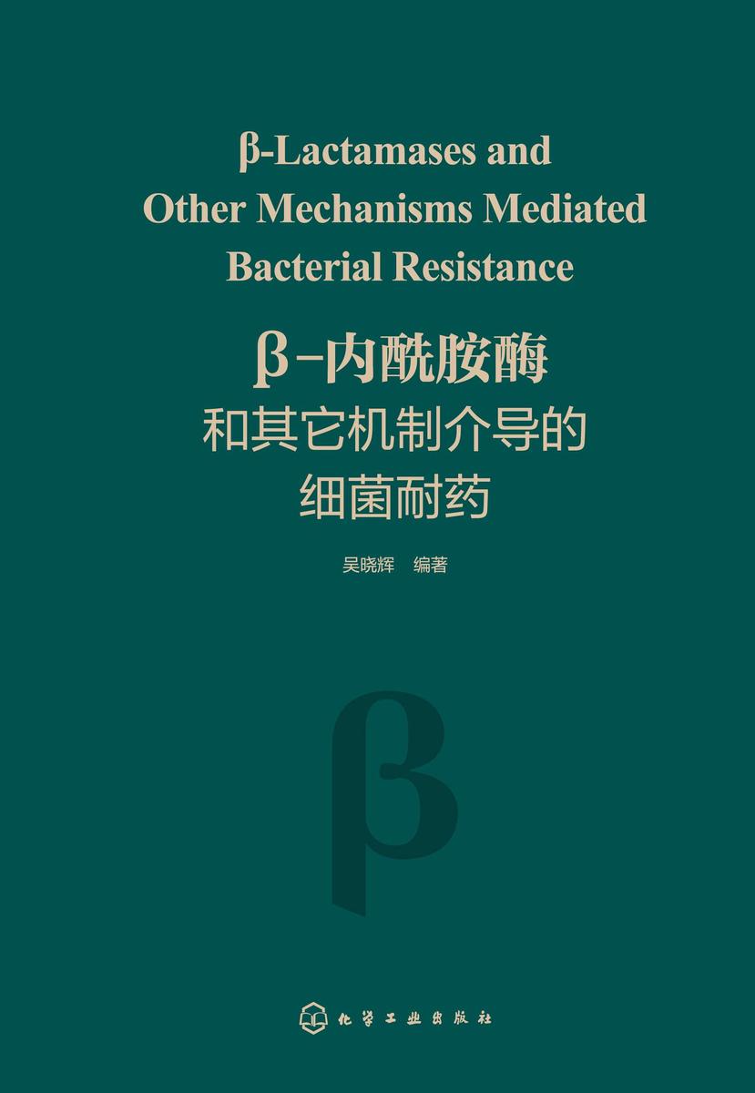β-内酰胺酶和其它机制介导的细菌耐药