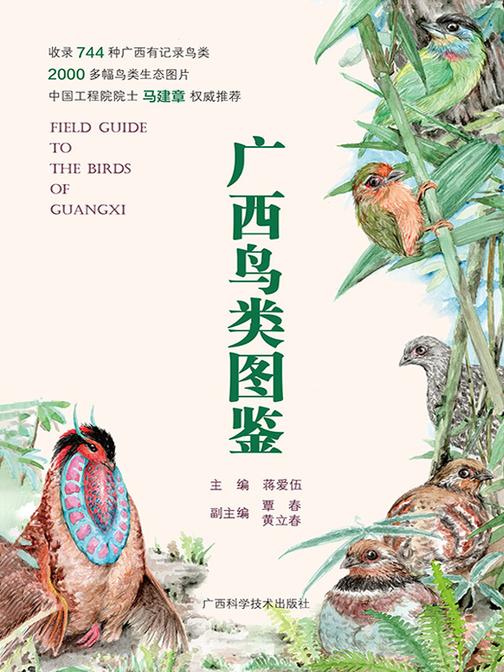 广西鸟类图鉴