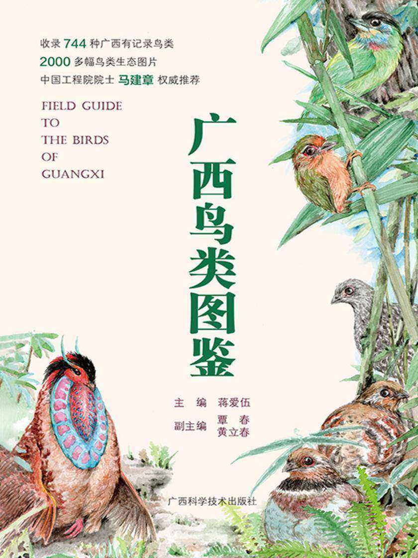 广西鸟类图鉴