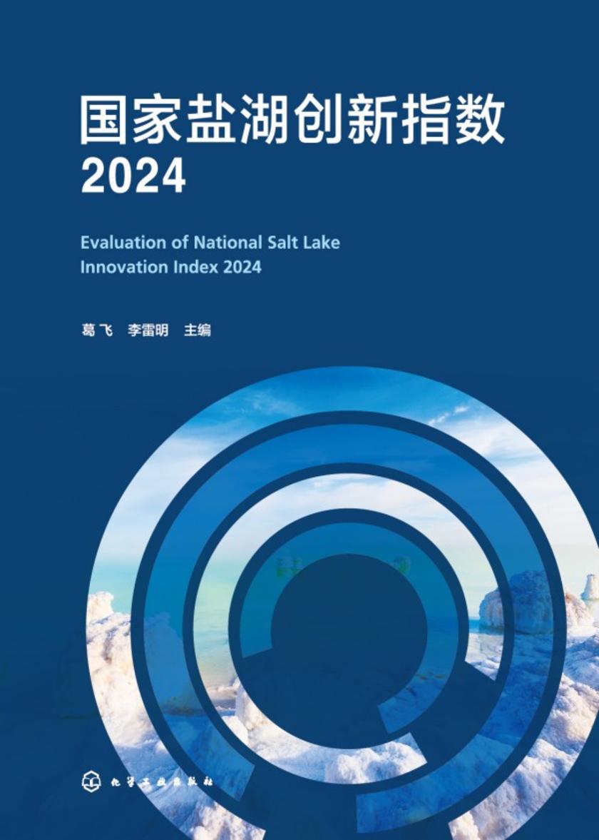 国家盐湖创新指数2024