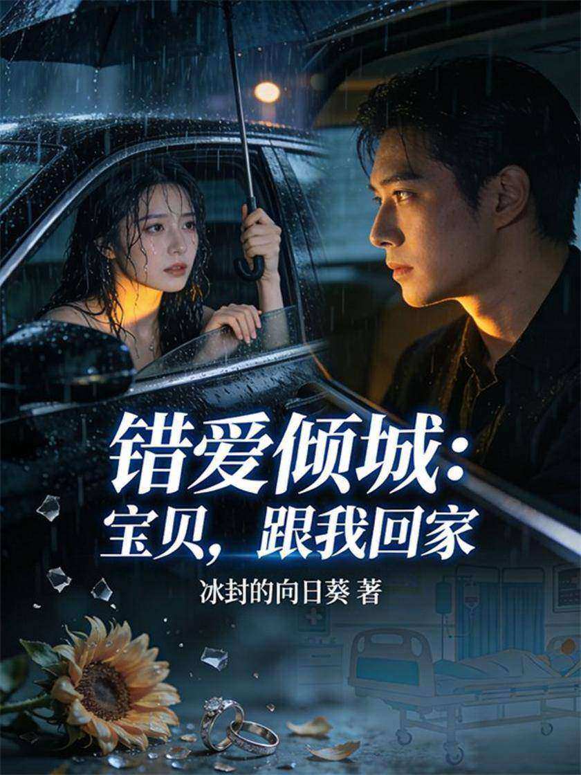 错爱倾城:宝贝,跟我回家