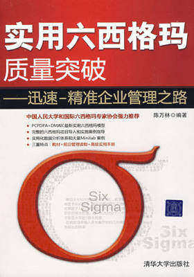 实用六西格玛质量突破——迅速—精准企业管理之路(仅适用PC阅读)