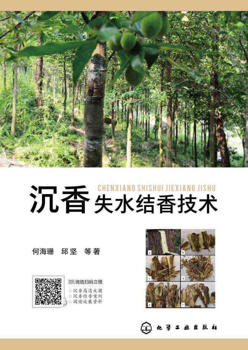 沉香失水结香技术
