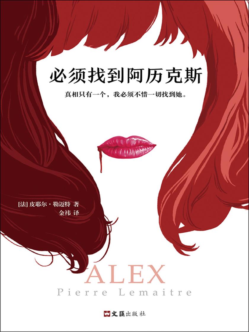 必须找到阿历克斯(横扫25国的重磅推理小说)