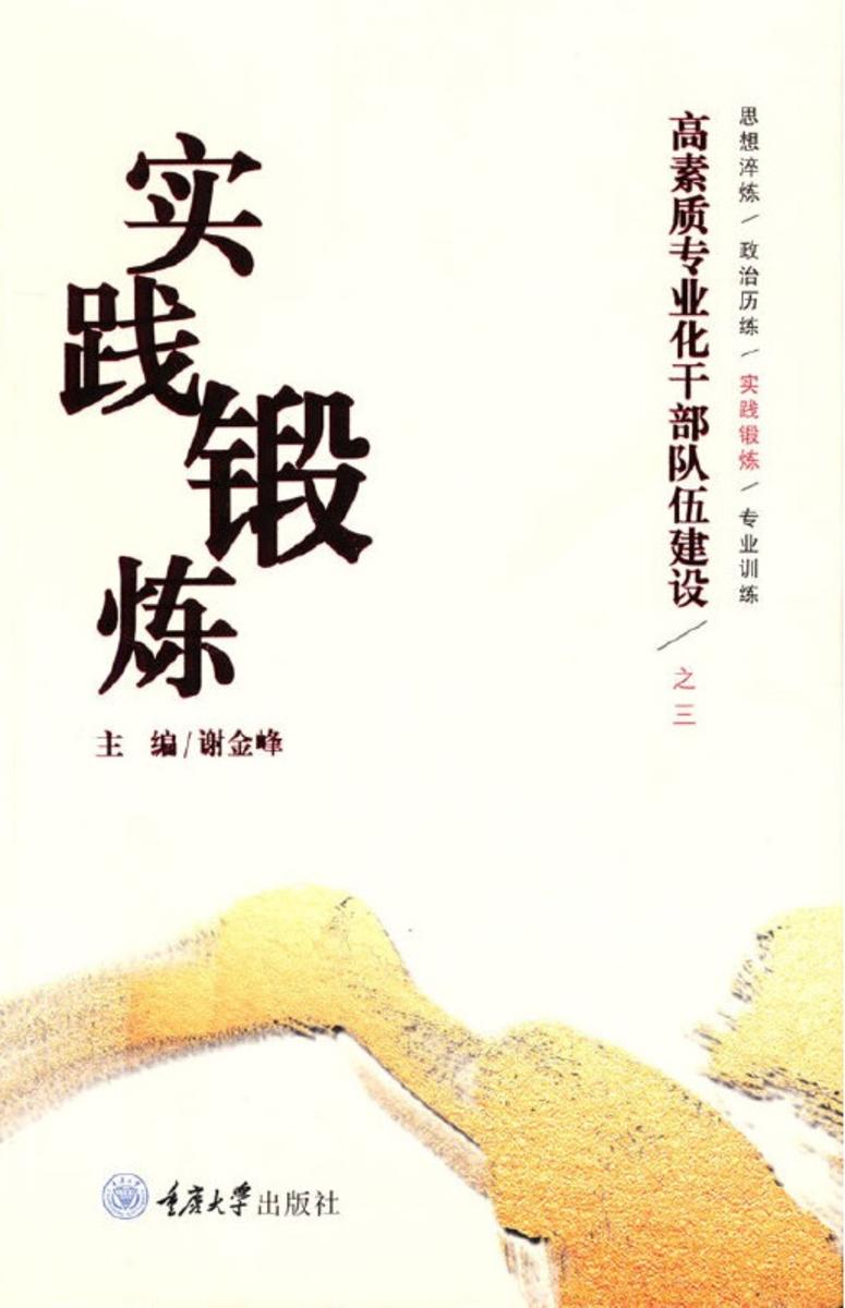 高素质专业化干部队伍建设之三——实践锻炼