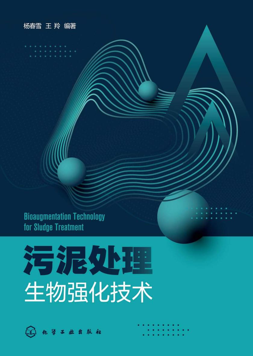污泥处理生物强化技术