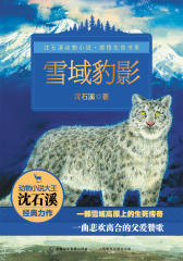 雪域豹影