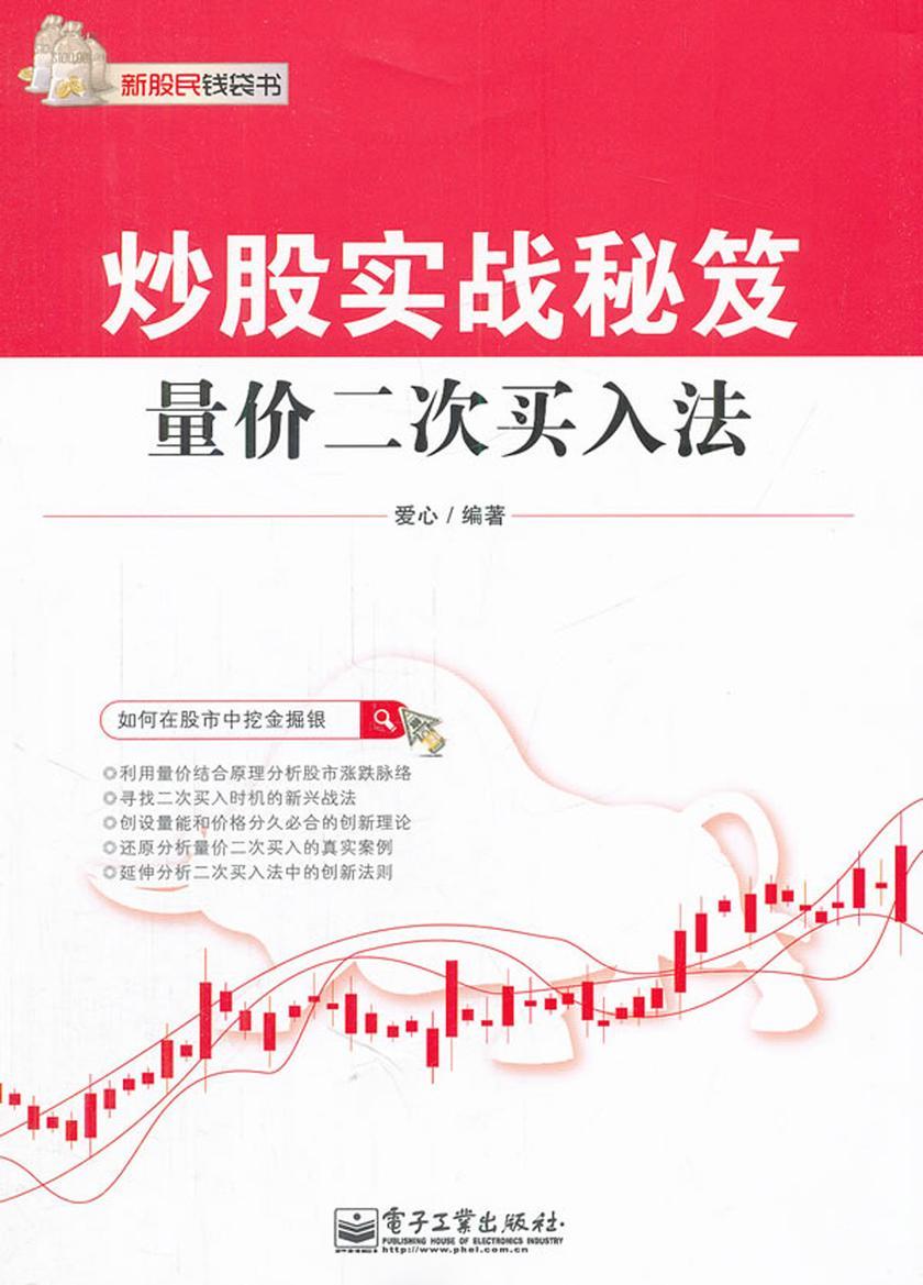 炒股实战秘笈：量价二次买入法(新股民钱袋书)