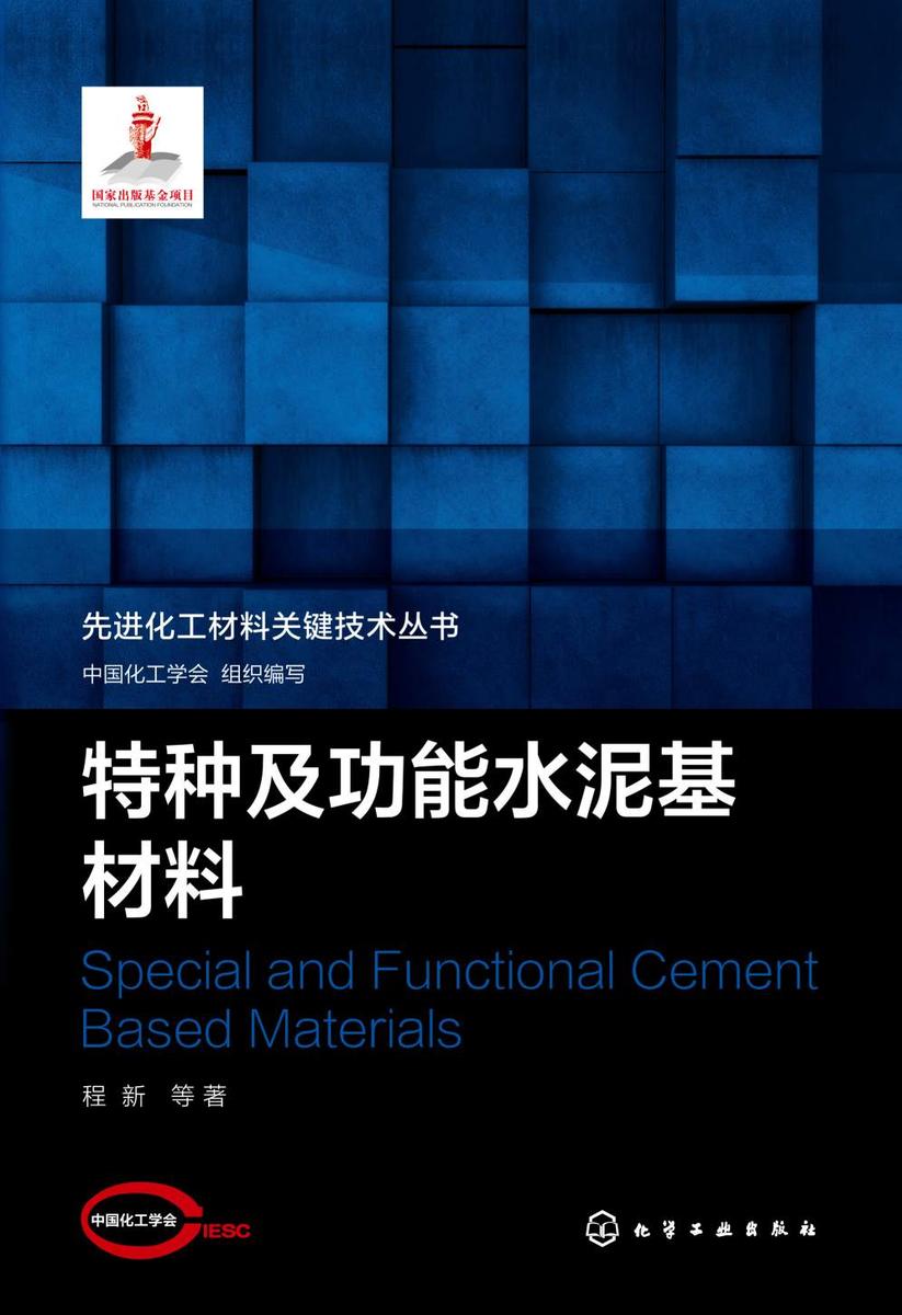 先进化工材料关键技术丛书--特种及功能水泥基材料