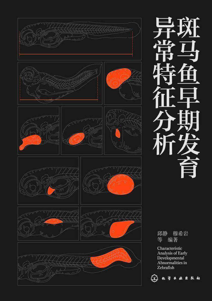 斑马鱼早期发育异常特征分析