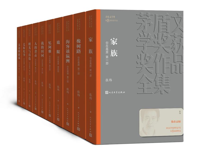 你在高原：全10册