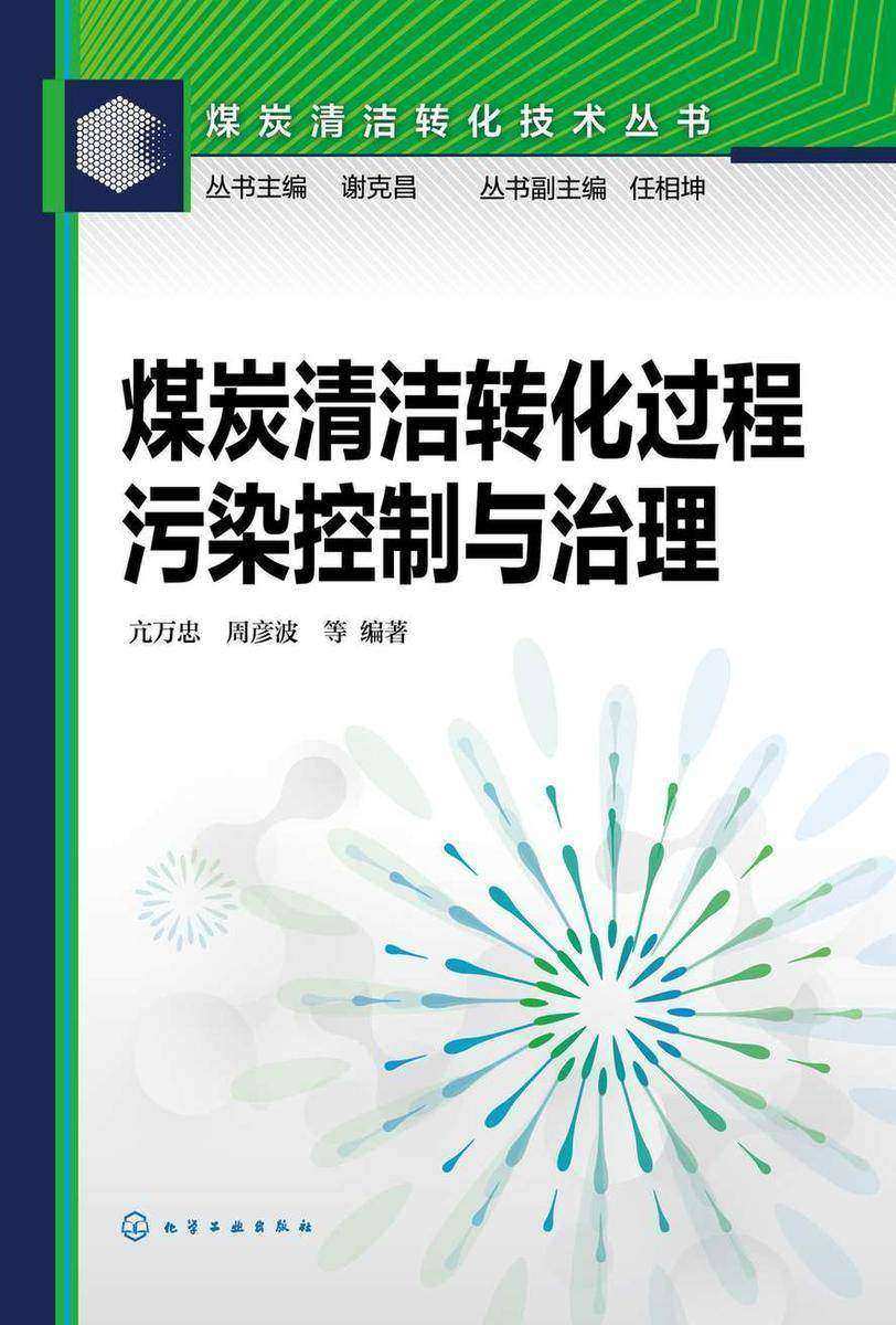 煤炭清洁转化技术丛书--煤炭清洁转化过程污染控制与治理