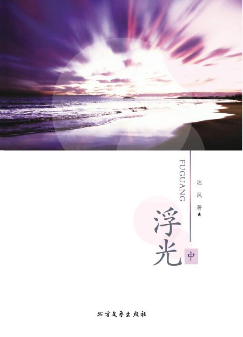 浮光(中)