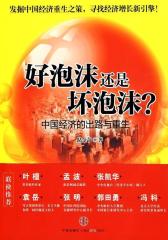 好泡沫还是坏泡沫