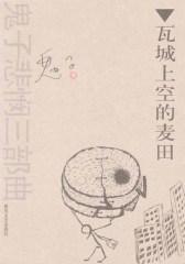 瓦城上空的麦田(仅适用PC阅读)