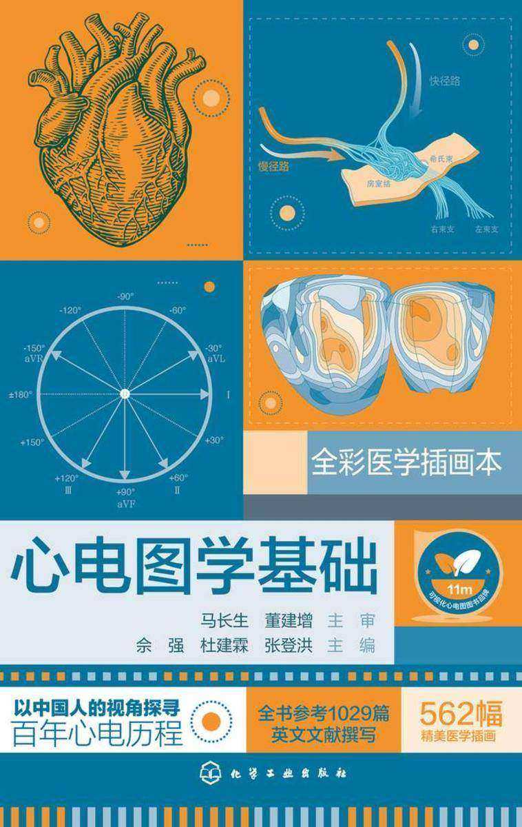 心电图学基础