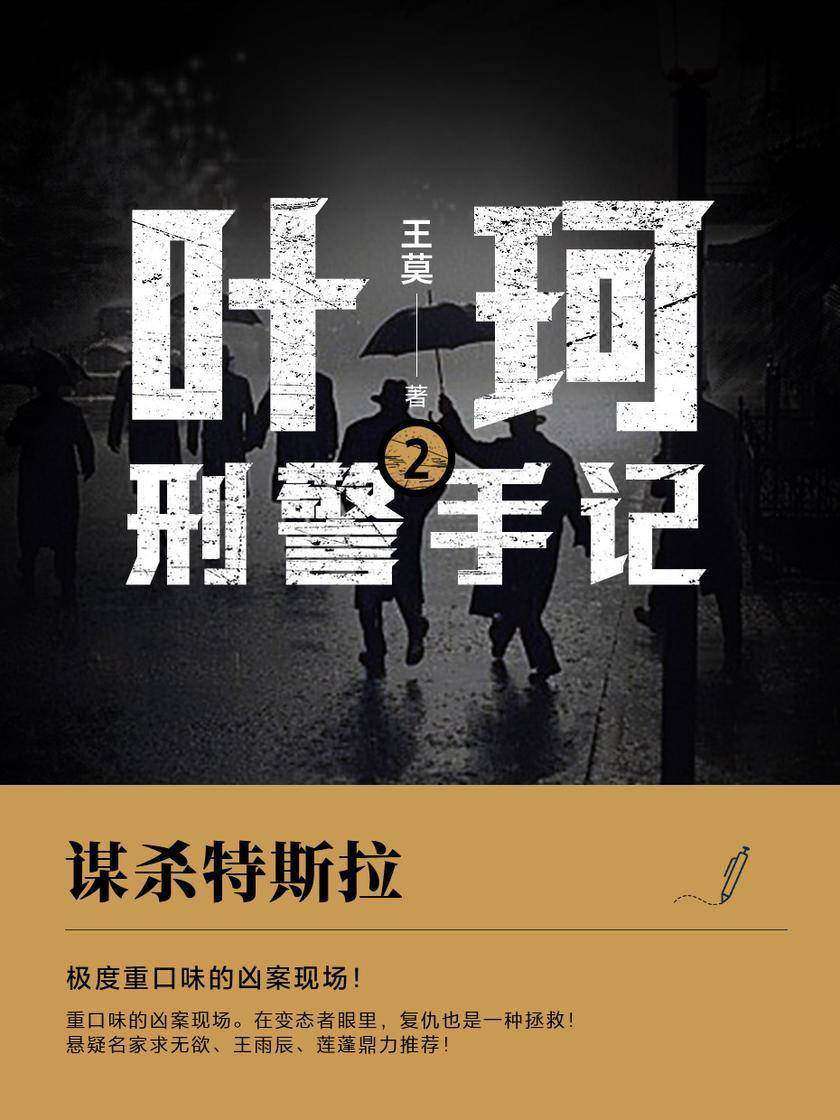 叶珂刑警手记2.谋杀特斯拉