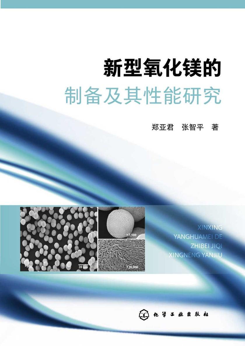 新型氧化镁的制备及其性能研究
