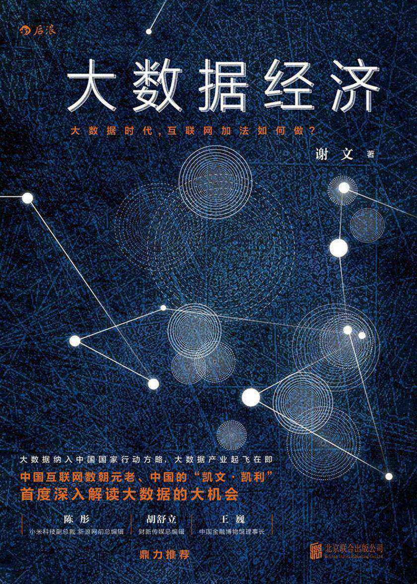 大数据经济(雅虎中国前总裁谢文大数据著作,为你找到大数据时代的起飞通道,财新传媒总编辑胡舒立鼎力推荐!)