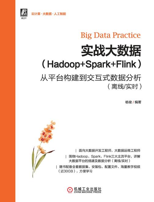 实战大数据(Hadoop+Spark+Flink)——从平台构建到交互式数据分析(离线/实时)