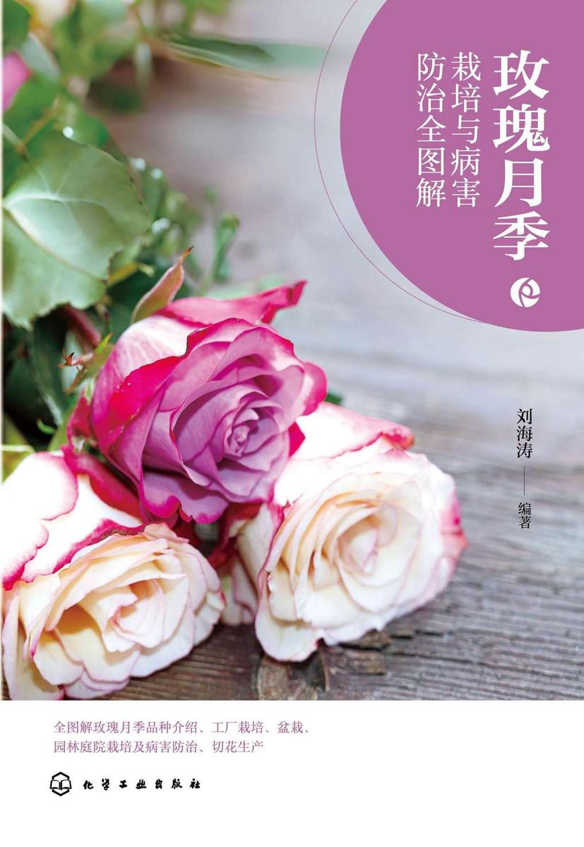 玫瑰月季栽培与病害防治全图解