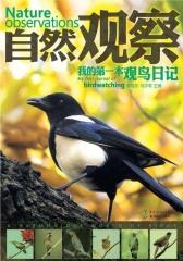 我的第一本观鸟日记