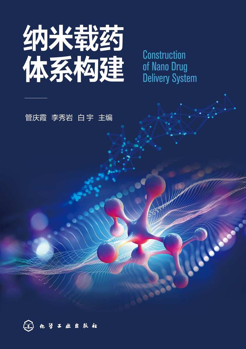 纳米载药体系构建