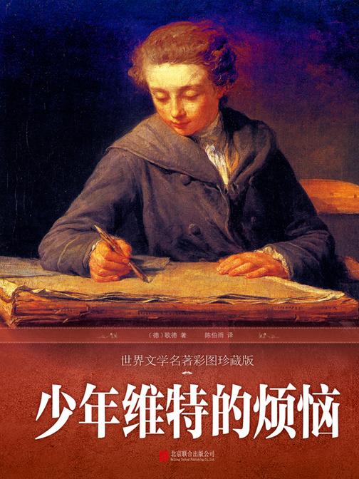 少年维特的烦恼